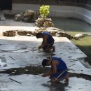 코끼리시장 이미지