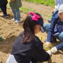 외궁초등학교 이미지