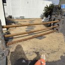 제주 가볼만한 곳 | 월령포구 - 강아지랑 산책🐕🐾 [1월의 제주]