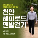 용준의 힐링라이프 &lt;맨발걷기 명상&gt; 체험 학교 1기 참석 후기 l 천안 국학원 황토길 해피로드
