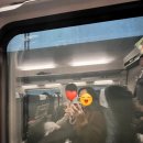 UR(목포시)-[해양대학로]-상-16 | [23.12.09 ~ 23.12.11] 2박 3일 목포 여행_Day 1 (#1. 목포관광오리탕, 목포해상케이블카)