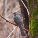 사랑이 머무는 둥지 이미지