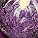 띠앗농장 이미지