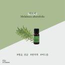 아로마헤어살롱 이미지