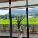 북면셀프세차장 이미지