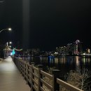 고메팔레스 이미지