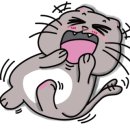 그루밍 멍 이미지