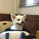 별미손칼국수 | [강동구/명일역맛집] 명일동 별미손칼국수 + 내돈내산, 솔직후기