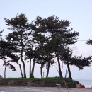 송정솔바람해변 주차장 이미지