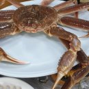 동해안회센타 이미지