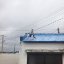 앙작시 프로젝트 민박 이미지