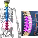 그랜드핏 이미지