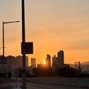 GS25 중랑동원점 | 면목동 동원시장 맛집 시골보리밥 후기 / 주차