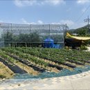 가막골농장 이미지