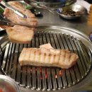 팔팔돼지(88돼지) 이미지