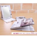 페이퍼 미러