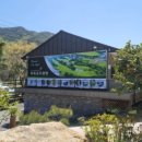 진동시사이드 이미지