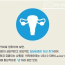 대하통상 이미지