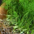 김태호피자 이미지