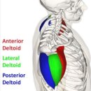 백석PT 모티플짐 이미지