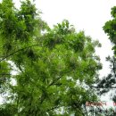 함박골농장 이미지