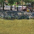 내리계곡 솔밭캠핑장 이미지