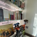 로스터리늘