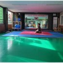 태권도 골든로드 이미지