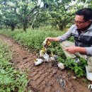 이수민농장 이미지