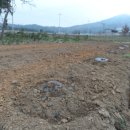 포포농장 이미지