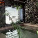 스테이 안도감 제주 이미지