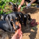 가온누리농장 이미지