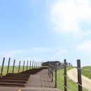 서산농장 이미지