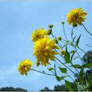 서경행정사사무소 이미지