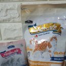 블루베이 이미지