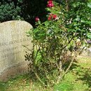 청린농장 이미지