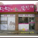 멍멍이 달린다 이미지