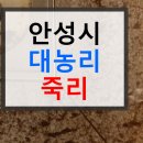 죽리 | 안성시 대농리 죽리 신령리 변기막힘 싱크대막힘 대덕면 주택 시세