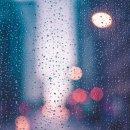 대덕밸리공인중개사사무소 이미지