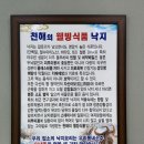 하얀집낙지 이미지