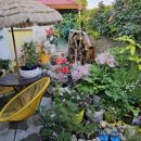 점암우체국 이미지