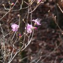 칠보중학교 이미지