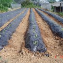 풍성농원 이미지