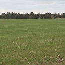 노루땅농장 이미지