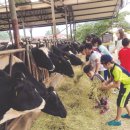 원동목장 이미지