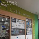 쿨펫동물병원 | 인천 계신동 동물병원 쿨펫동물병원 위치 오는길 후기