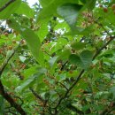 고성사방댐 이미지