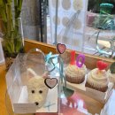 댕냥잇츠 | 부산 화명동 강아지 얼굴케이크 &#34;댕냥잇츠&#34;