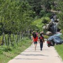 영인산자연휴양림 이미지