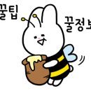 베리트실용음악학원 이미지